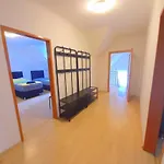 Steelcity Apartment *
