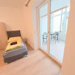 Apartment Steelcity Linz