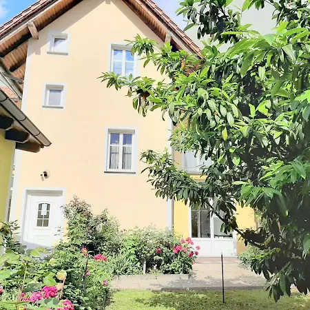 Steelcity * لينتز