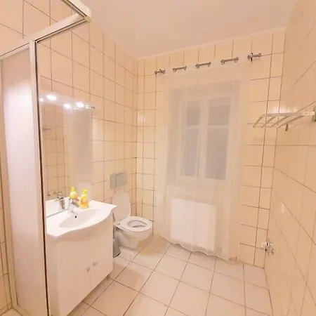 شقة Steelcity لينتز